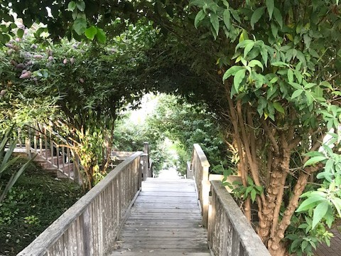 Scenic walkway